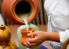 Lánzate al festival “Pulqueando en Boyé 2026”