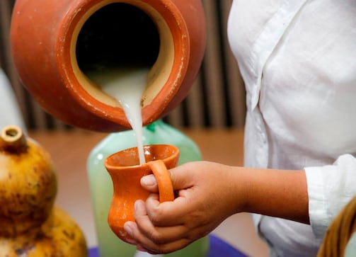 Lánzate al festival “Pulqueando en Boyé 2026”