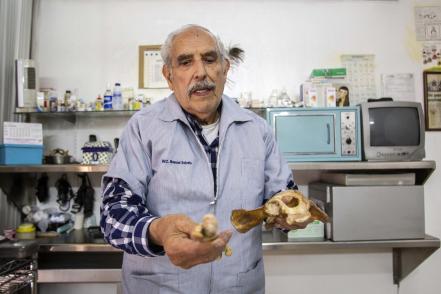 Males caninos. Crece cultura preventiva en mascotas 