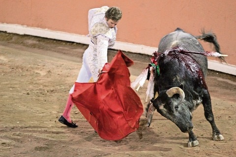 Prepara MC firmas contra tauromaquia