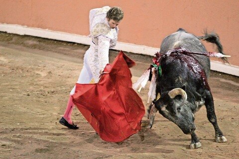 Prepara MC firmas contra tauromaquia