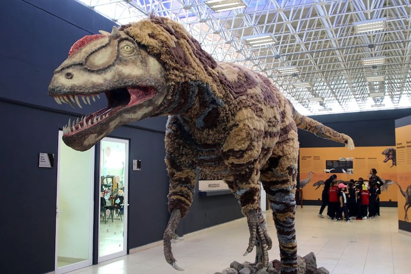 Museo de Ciencias Ximhai de la UAQ transmite conocimiento con un enfoque divertido