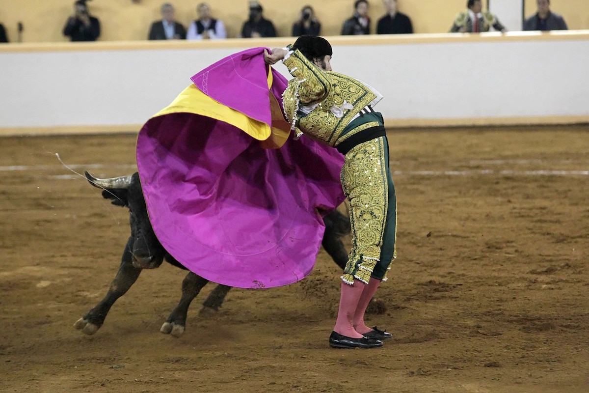 Grandes regresos en la Plaza de Toros de Provincia Juriquilla