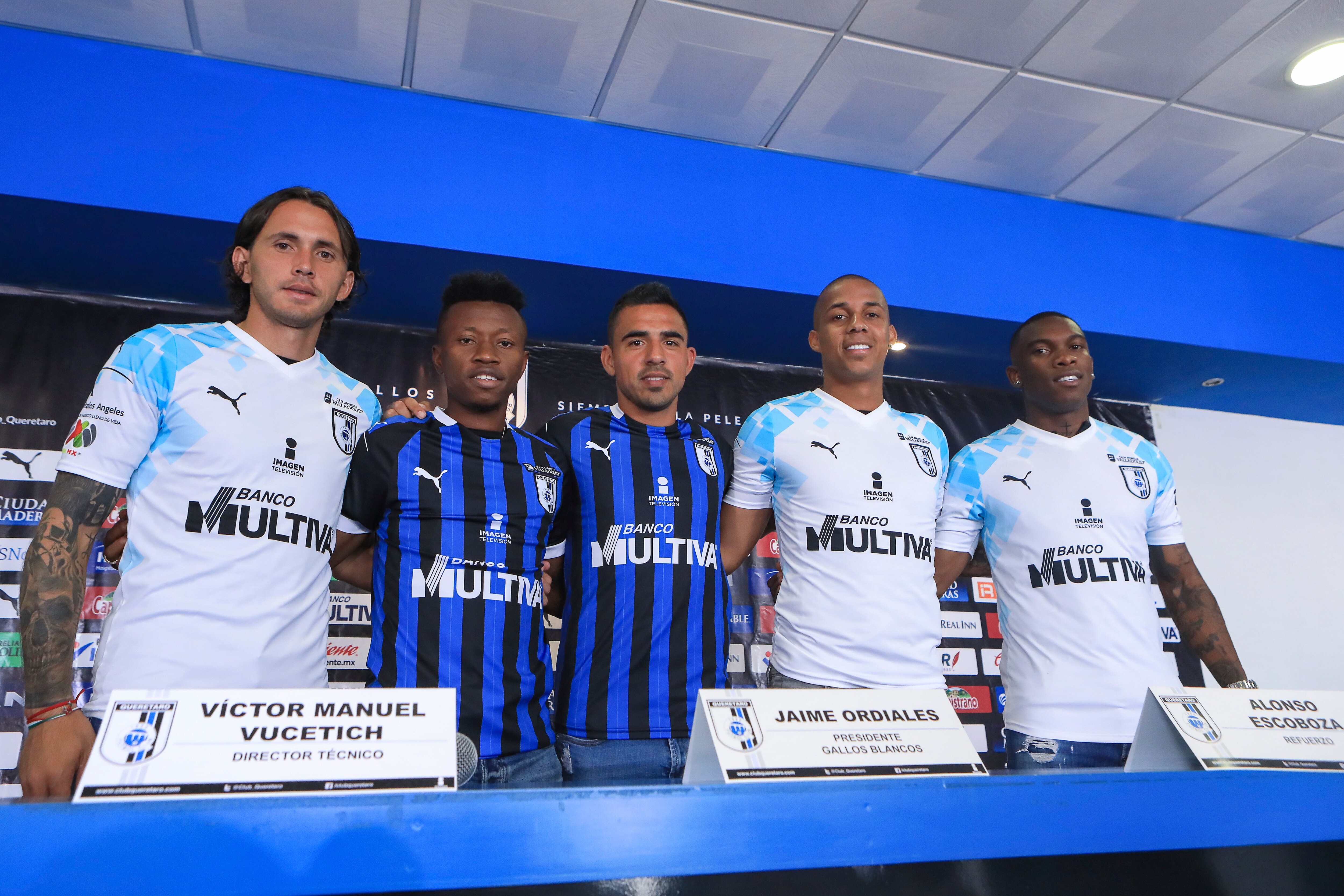 Nueva sangre en Gallos