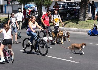 Cambian nombre a programa social de Querétaro