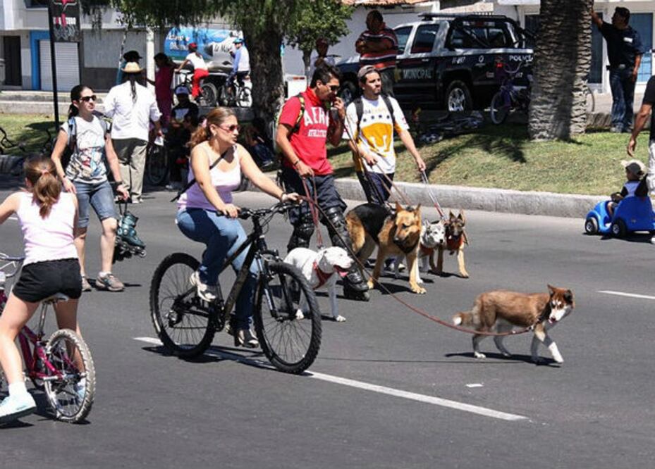 Cambian nombre a programa social de Querétaro