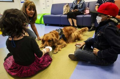 Terapia canina. Alegría para niños con cáncer