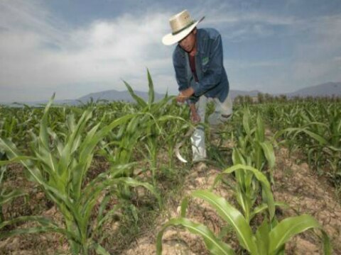 60% carece de títulos de propiedad