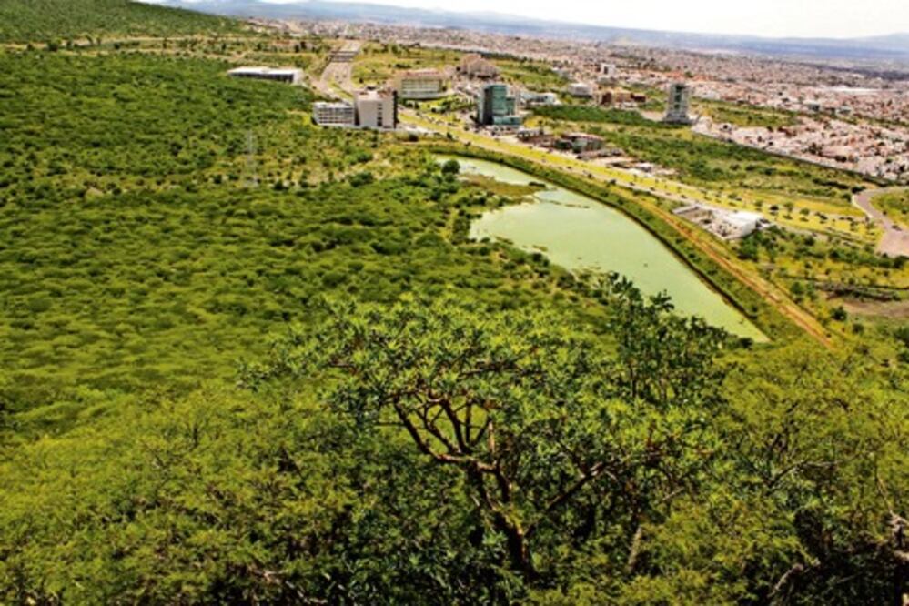 Trabajan en cuidado ambiental
