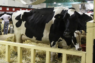 Disminuye detección de clembuterol en rastros