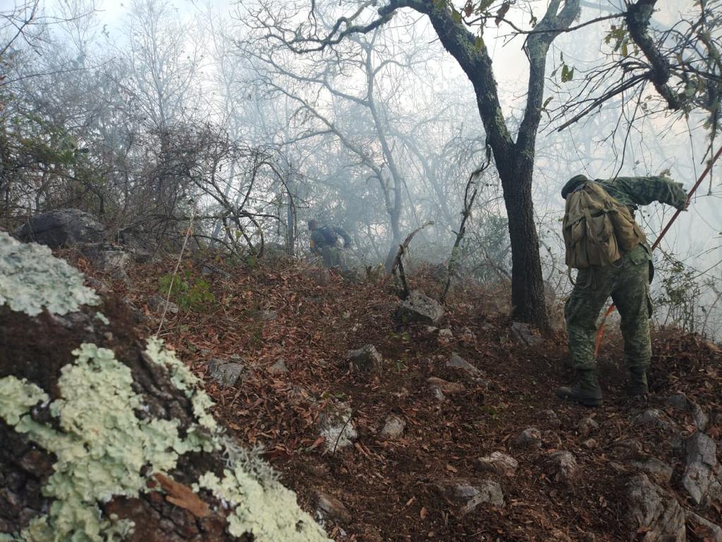 Se incendian 300 hectáreas en la Sierra Gorda