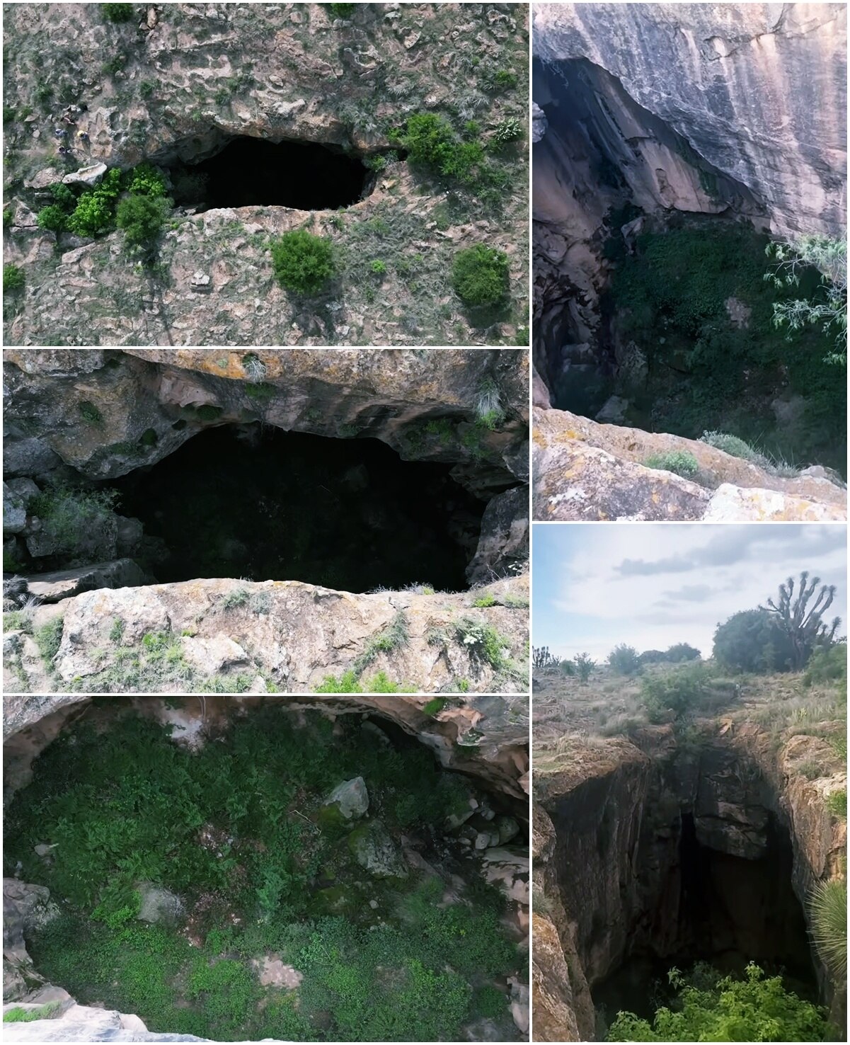 Foto: Pinshi Millennial.