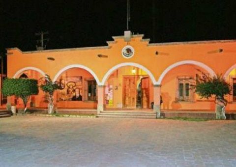 Temporada de orégano en Peñamiller 