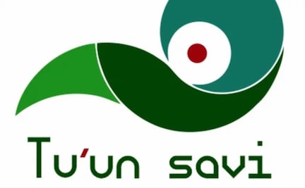 Con esta aplicación podrás aprender a hablar mixteco