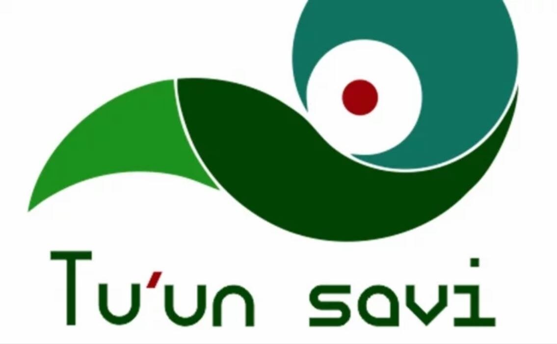 Con esta aplicación podrás aprender a hablar mixteco