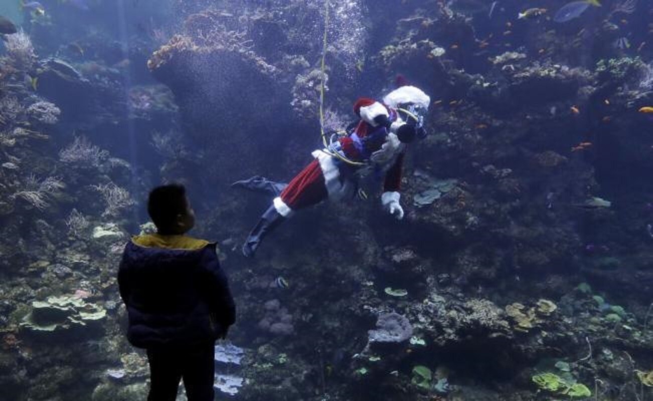 Santa Claus cambia centros comerciales por arrecife en San Francisco