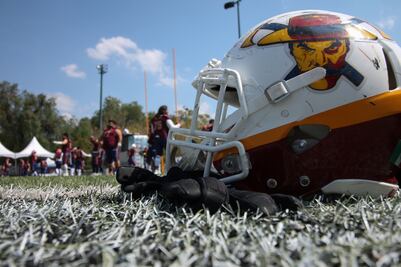 Gallos interesado en franquicia de LFA