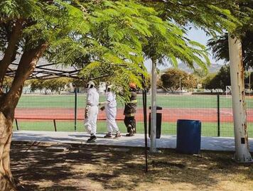 Alrededor de 50 personas fueron atacadas por abejas en el Parque Bicentenario