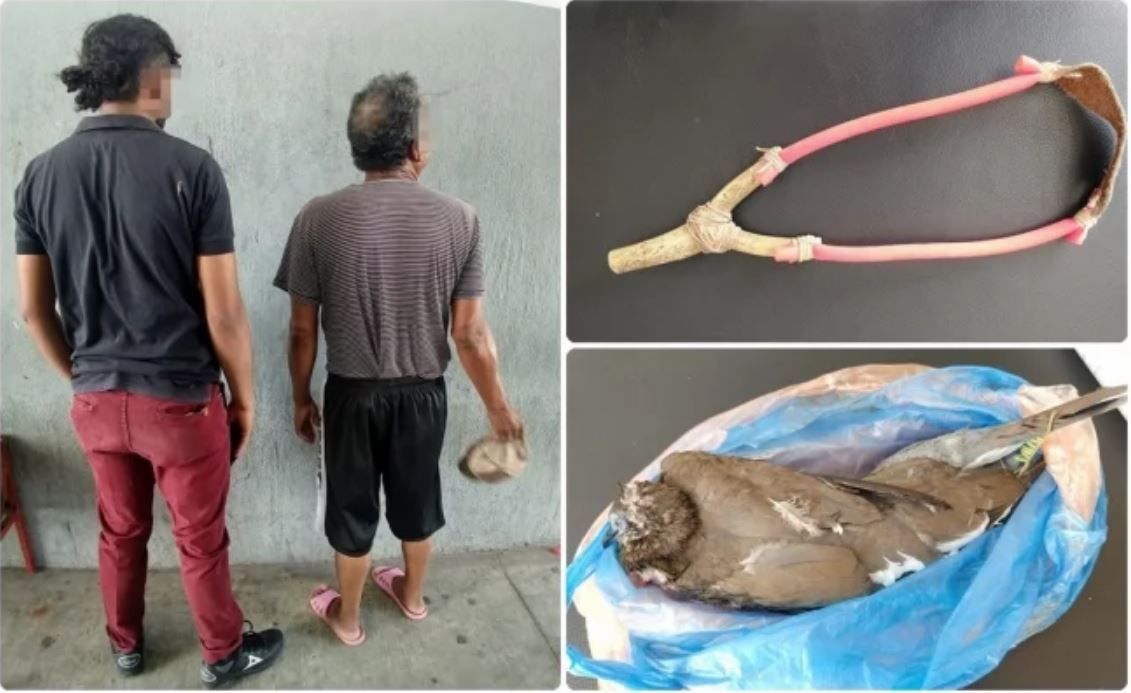 Detienen a padre e hijo por matar palomas con resorteras en Aguascalientes