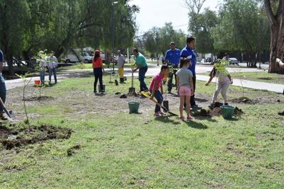 Reforestan áreas verdes por festejo en Día del Árbol