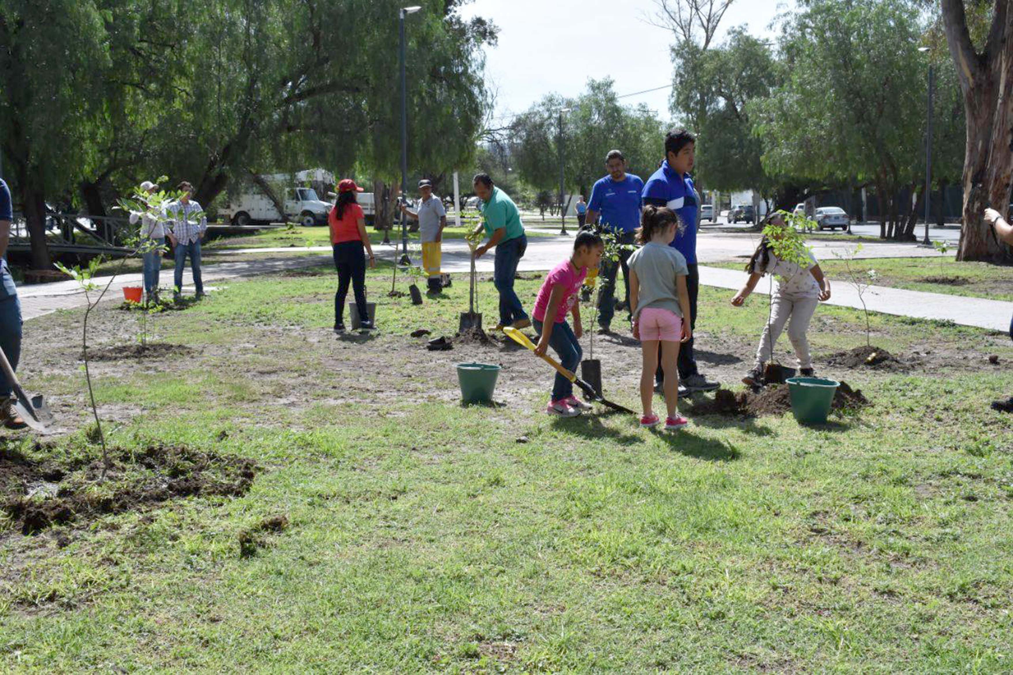 Reforestan áreas verdes por festejo en Día del Árbol