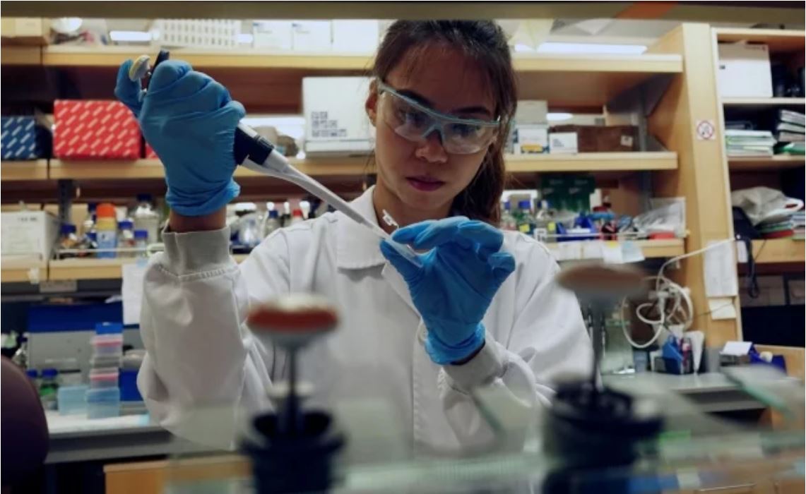 Bonos y Netflix gratis; las fake news sobre el coronavirus