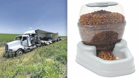 Aquanimals entregaba una bolsa de croquetas por cada cuerpo recibido, en Querétaro