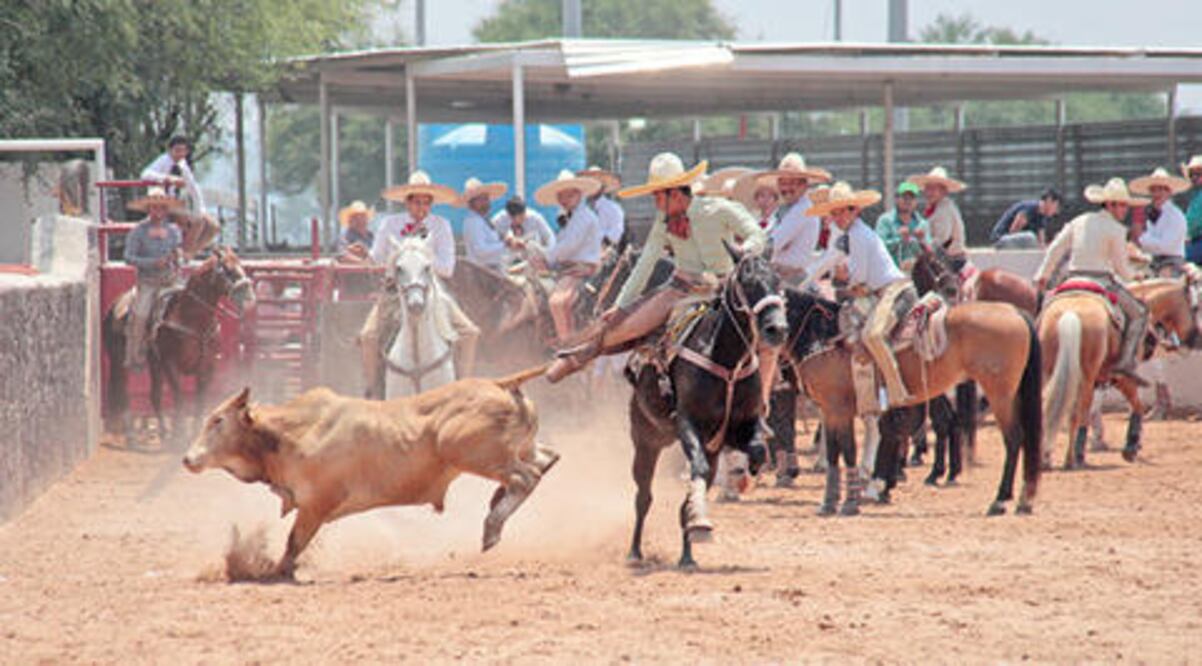 Finca Arroyo Seco toma la punta en San Agustín