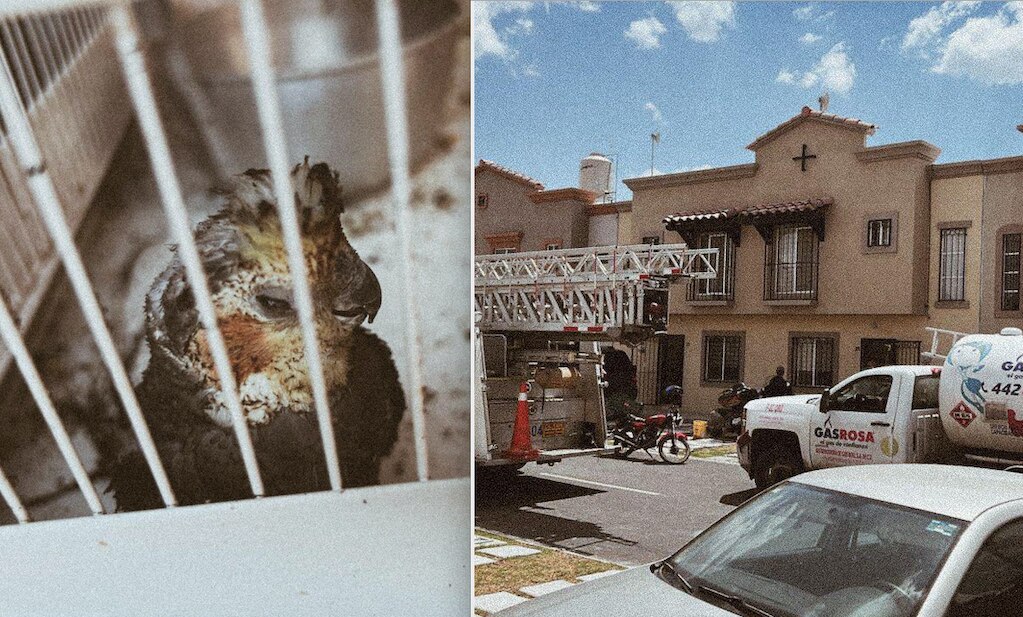 Foto: Protección Civil El Marqués