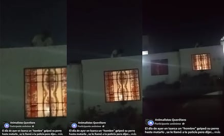 UCAM ya atiende el caso de maltrato animal en Loarca