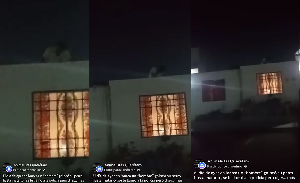 UCAM ya atiende el caso de maltrato animal en Loarca