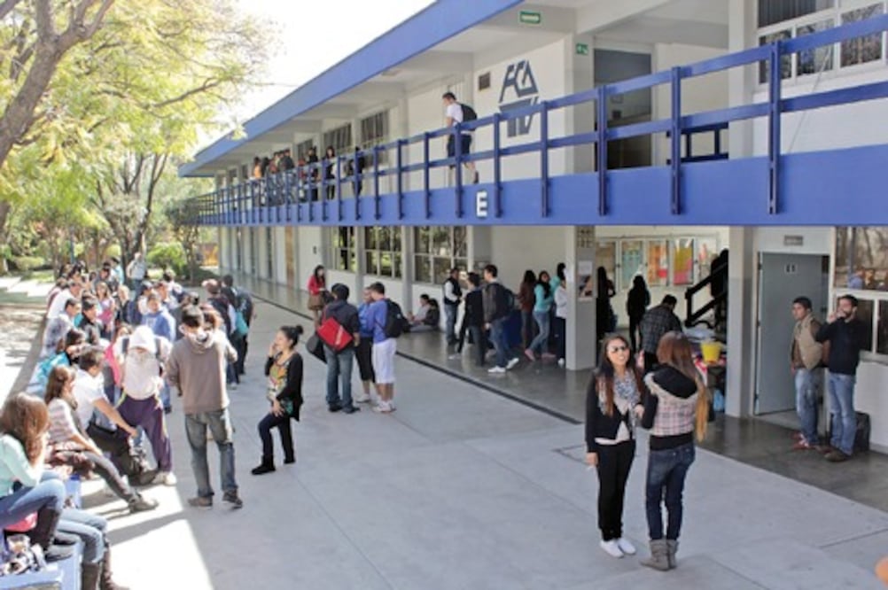 Impulsarán vinculación