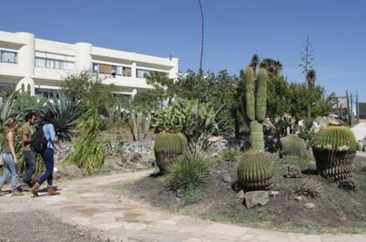 Jardín Botánico alberga 900 ejemplares