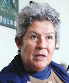 Piden atención a problema ambiental