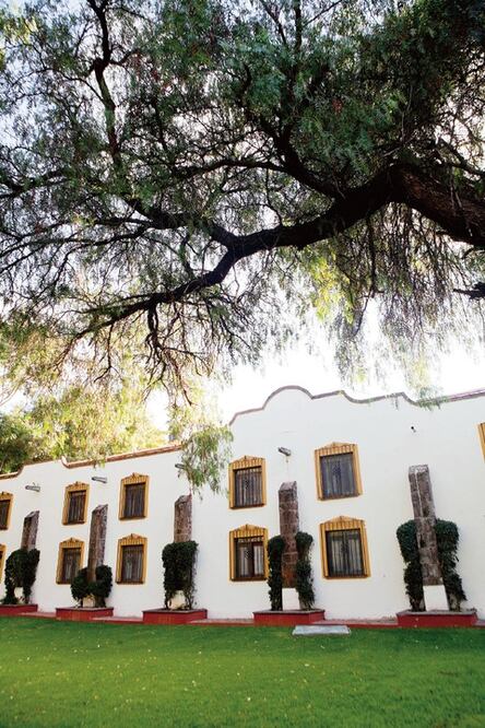 Prevén arribo de 8 nuevos hoteles