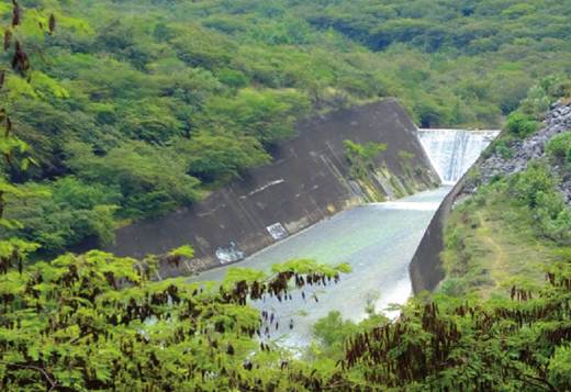 Lluvia atrae beneficios en Sierra: Sagarpa