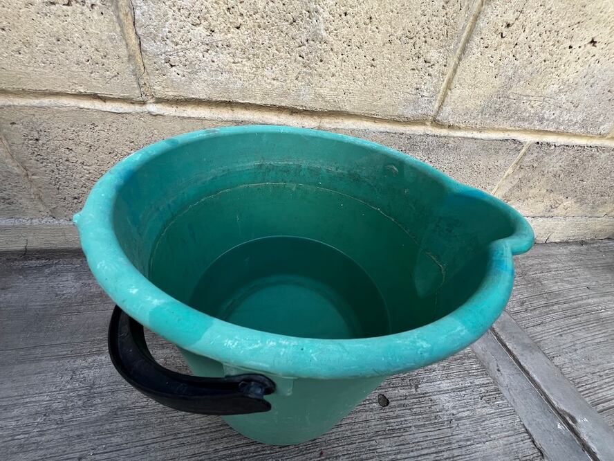 Foto: El Universal Querétaro