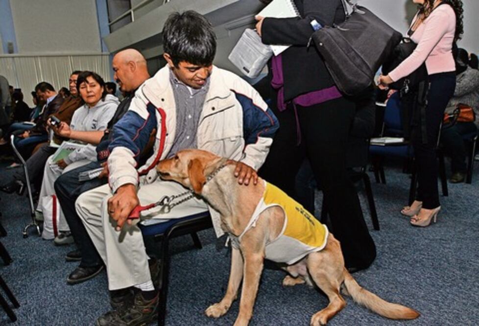 Demandan acceso a educación para PCD