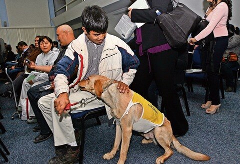 Demandan acceso a educación para PCD