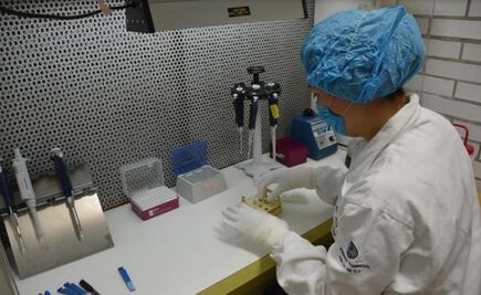 Estudio de ADN revela sacrificios de niños