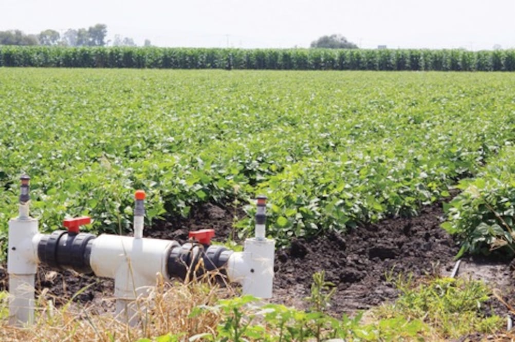 Beneficiarán al agro
