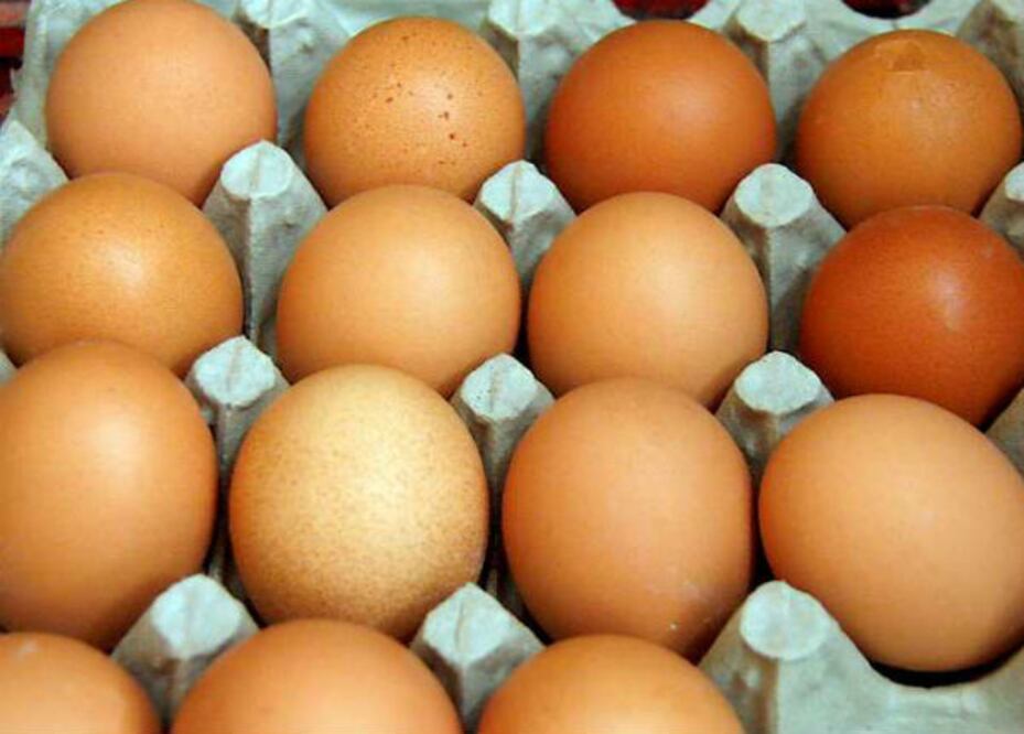 Contemplan instalación de naves avícolas