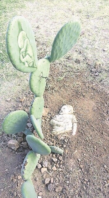 Palestino plasma su arte en nopales