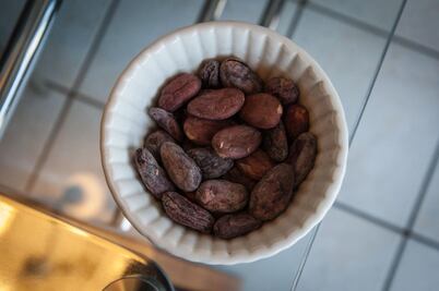 Veneran al cacao prehispánico