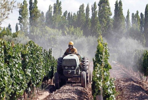 La seguridad alimentaria