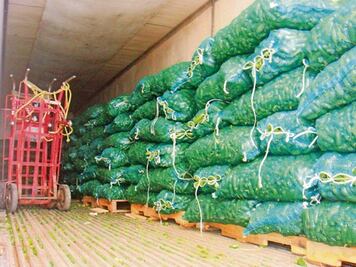 Lleva el trabajo a cuestas