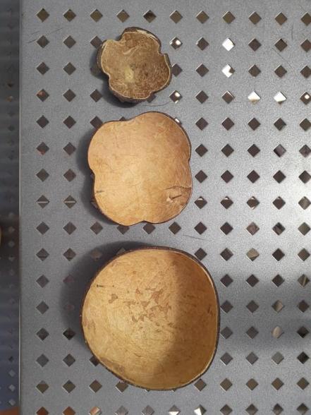 Universitario impulsa la utilización del 100% del coco