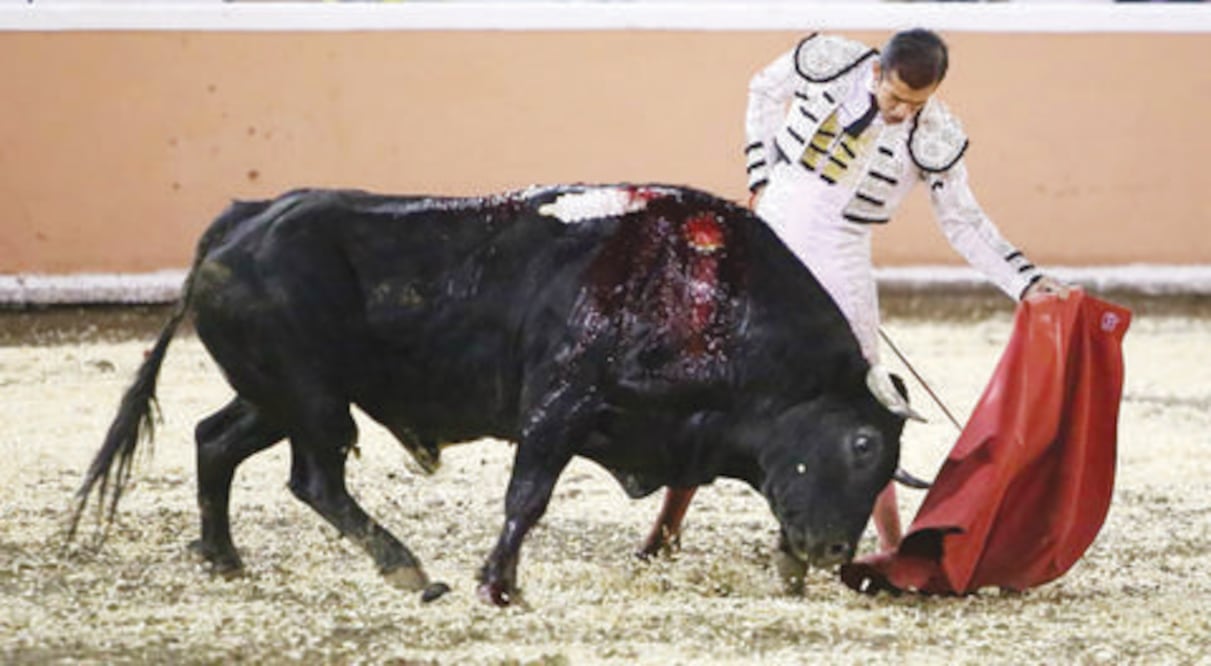 Adame cierra un exitoso año