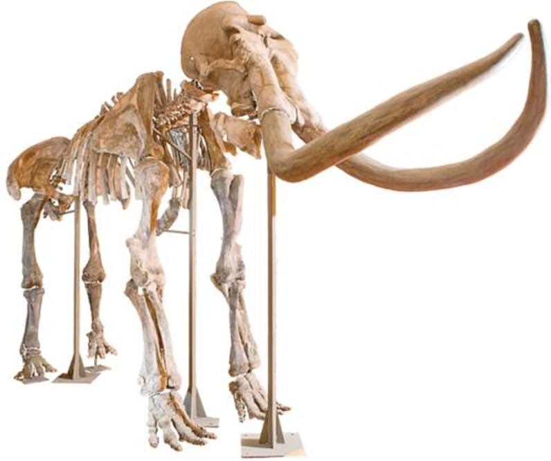 “Ancestros de piedra”