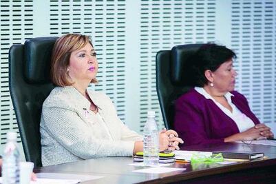 La concesión de la basura en la capital no es la mejor opción: diputada